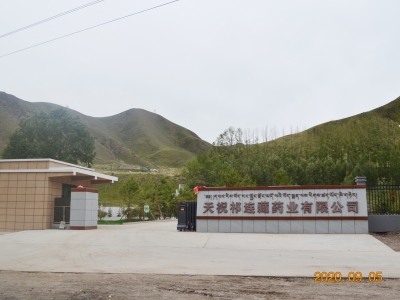 天祝(zhù)祁連藏藥(yào)業